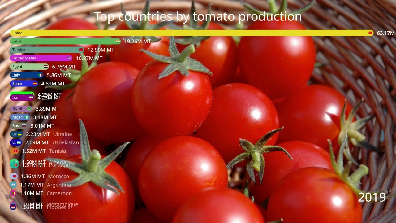 Top countries by tomato production