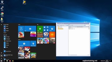 SAP 7.51 - Enabling Browser Access for SAP GUI