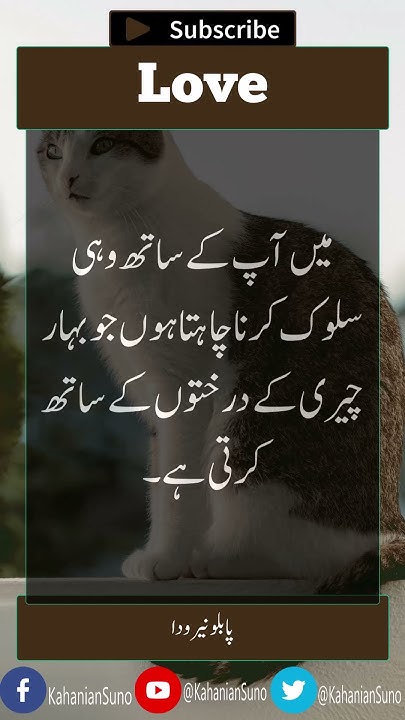 mein-aap-ke-sath-wohi-salook-karna-chahta-hun-pablo-neruda-love