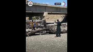 مقتل 41 شخصا في سقوط حافلة من أعلى جسر في بلوشستان 