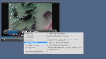 Using the Control Bar