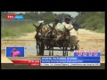 Punda Wa Kiafrika Wanazidi Kuhatarishwa Zaidi Kutokana Na Soko Linalopanuka Punda Wa Kiafrika Wanazidi Kuhatarishwa Zaidi Kutokana Na Soko Linalopanuka