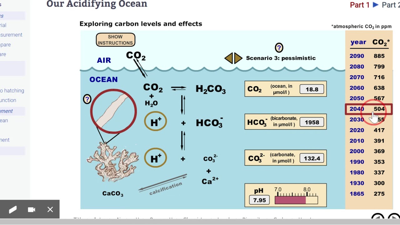 virtual-urchin-our-acidifying-ocean-part-e-scenario-3-pessimistic-youtube