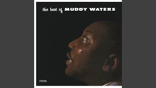 Video thumbnail of "Muddy Waters - I Can't Be Satisfied"