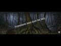Dying Light - Promenons nous dans les bois !