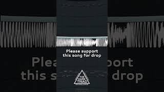 drop? #phonk #darktriad #hardtekk #hardstyle