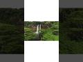 Nature Relaxing Short Video 🌲 Beautiful Waterfall #shorts