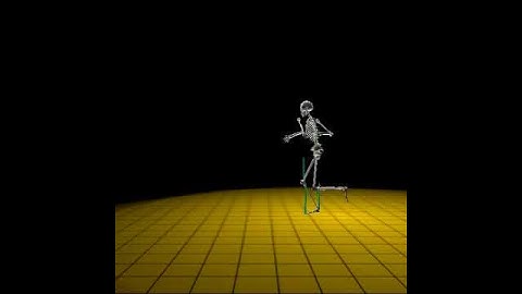 Dynamics-based locomotion analysis (1/3)