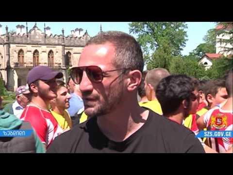 მსოფლიო რაგბის თასი დადიანების ეზოშია