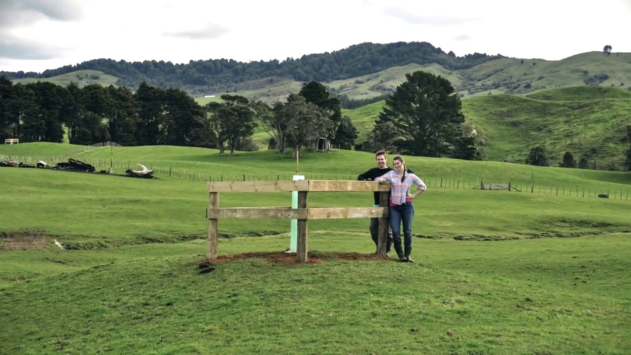 TIMELAPSE: Building cages to stop cattle EATING our trees!