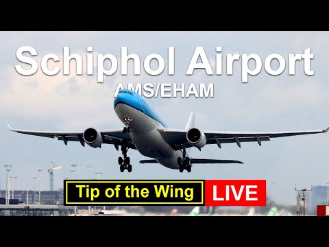 🔴 Live Plane-spotting; Amsterdam Airport #10 25-6-2025 (NL/ENG)