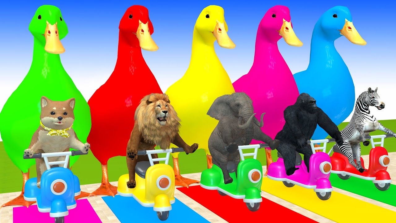 Long Slide Game With Cow Elephant Gorilla Hippopotamus Tiger 3d Animal Game Funny 3d Animals