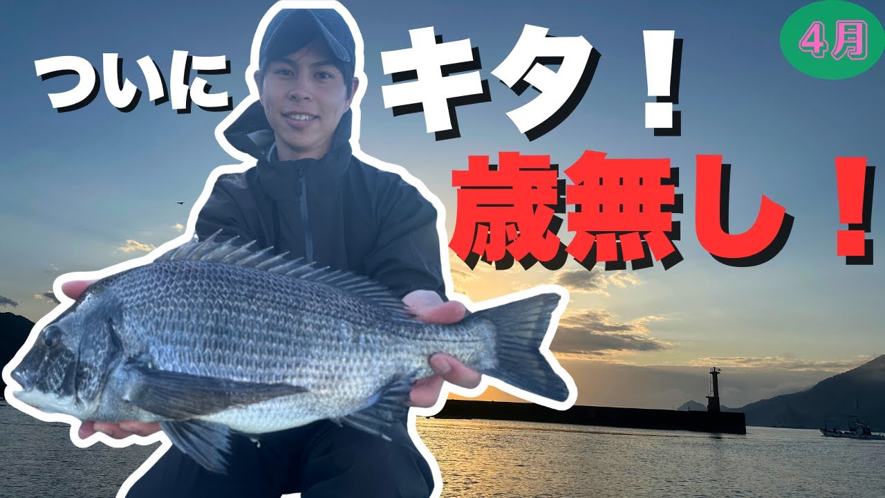 【筏釣り】52cmチヌ降臨！さらに45cmも連発！衝撃の釣果！！