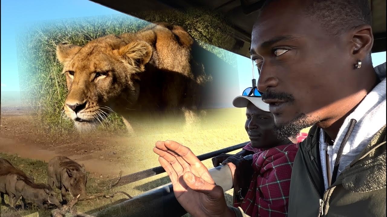 Увидеть, как львы охотятся и поедают свою добычу в Масаи-Мара