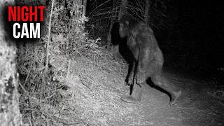3 Hours of the Most Convincing Bigfoot Encounters screenshot 5