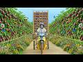 Harvest A Truckload Of Passion Fruit To Sell At The Market – Remove Old Sponge Gourds –Bathe The Dog