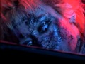 Dir En Grey ~  -ZAN- LIVE