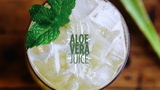 organic aloe vera plant Buy Organic Aloe Vera Plants