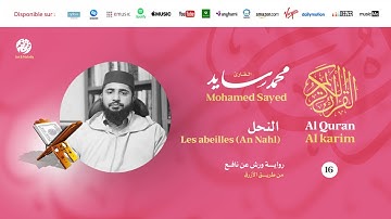 Mohamed Sayed - Surat Al Nahl - سورة النحل | تلاوة بصوت القارئ محمد سايد | برواية ورش عن نافع