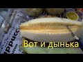 Настойка "Весёлая Торпеда".  Ароматный дынный самогон.