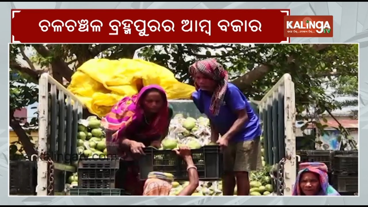 Several varieties of mangoes at Mango Market in Berhampur | Kalinga TV