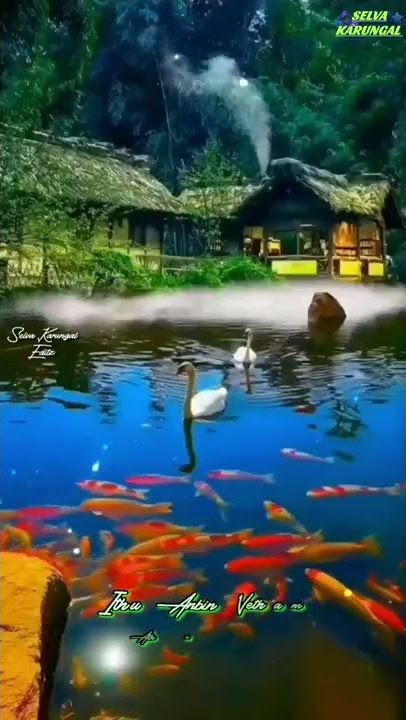 vaigai nathi ooram tamil whatsapp song status 💞selva karungal