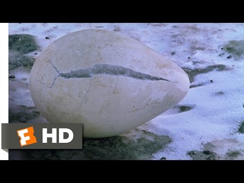 March of the Penguins (1/4) Movie CLIP - Protecting the Egg (2005) HD