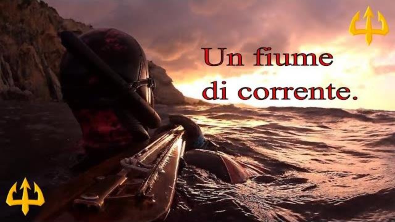Pesca sub   :    🔱Un fiume di corrente. ( Spearfishing  Sardegna)