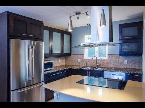 432 23rd Ave, St Petersburg, FL home video tour