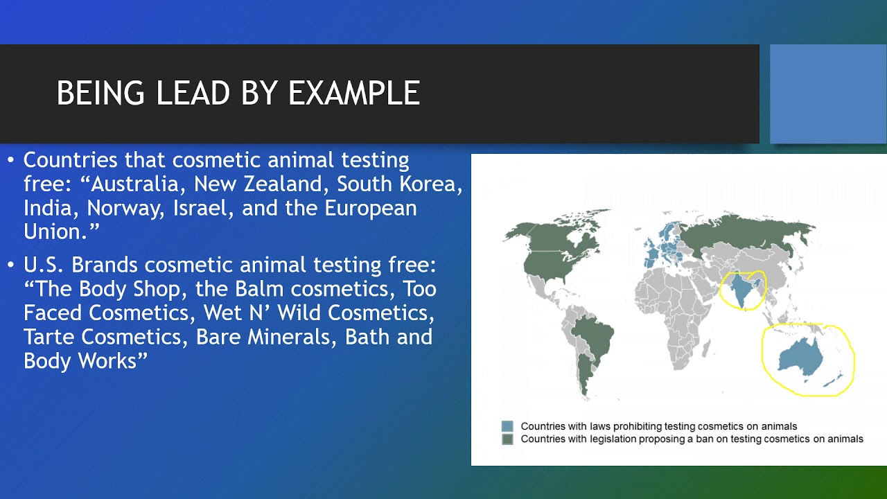 Eliminating Cosmetic Animal Testing