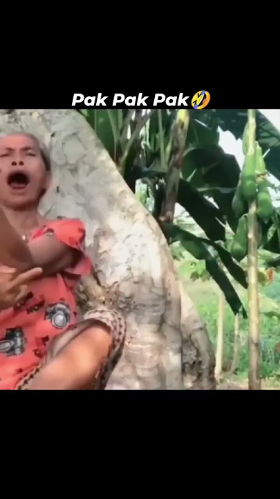 pakkkk 🤣 | kelakuan nenek & cucu #nenekbarbar #sesat #lucu #ngakak #orangtua #ketawa