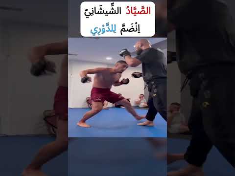 ن ج م ص اع د م ن الش يش ان