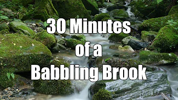 💦 30 Minutes of a Babbling Brook - Relaxing Sound for Studying or Sleep