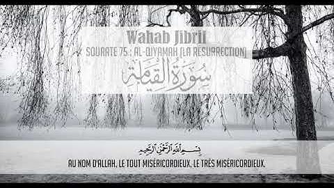 سورة القيامة |وهاب جبريل|....