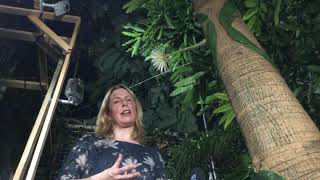 A Q&A from the blooming of our Moonflower