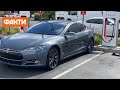 Гризуни масово атакують електрокари Tesla: компанія Маска знизує плечима