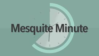 5/14/20 Mesquite Minute: Project Childsafe