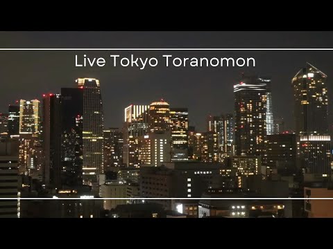 Night view of skyscrapers in central Tokyo/東京都心の高層ビル群の夜景 2023.1.24-25
