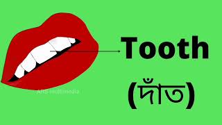 introduce parts of the body দেহের বিভিন্ন অংশের নাম ও বানান screenshot 5