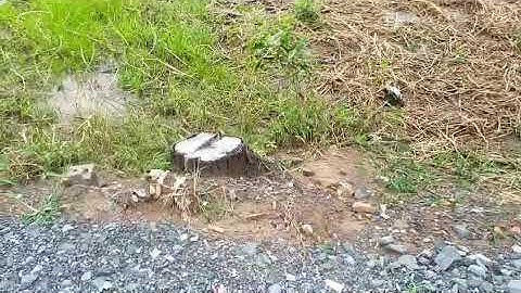 0819001924 🌀  MẶT TIỀN ĐINH VIẾT CỪU, BÌNH TÂM, TP. TÂN AN- Nhà Đất Long An #datlongan #nhadatlongan