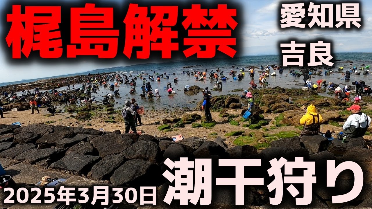 【潮干狩り】梶島解禁！2025年3月30日　愛知県吉良