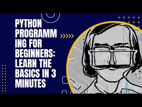 Python Programming for Beginners: Learn the Basics in 3 Minutes