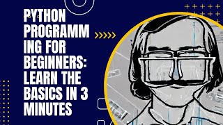 Python Programming for Beginners: Learn the Basics in 3 Minutes