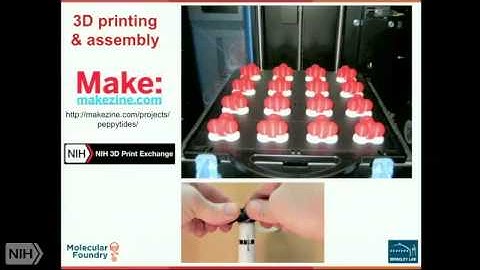 Ron Zuckermann discusses Peppytides at the NIH Science in 3D Festival