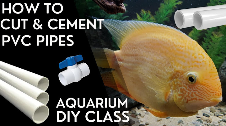 HOW TO cut and cement PVC Pipes (Aquarium DIY Class)