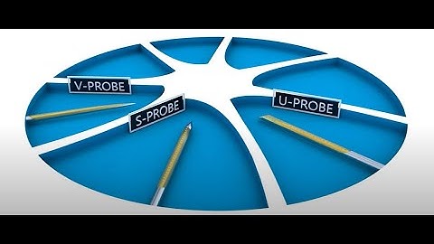 Linear Probes for Neuroscience