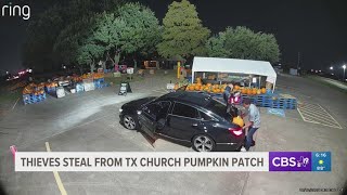 CAUGHT ON CAMERA: Thieves target Texas church whose popular pumpkin patch funds community projects