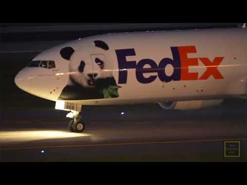 Ping Ping and Fu Shuang Pandas Arrive in Atlanta