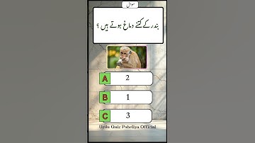 General knowledge quiz | Riddles with answer | #generalknowledge #viralshorts #riddles