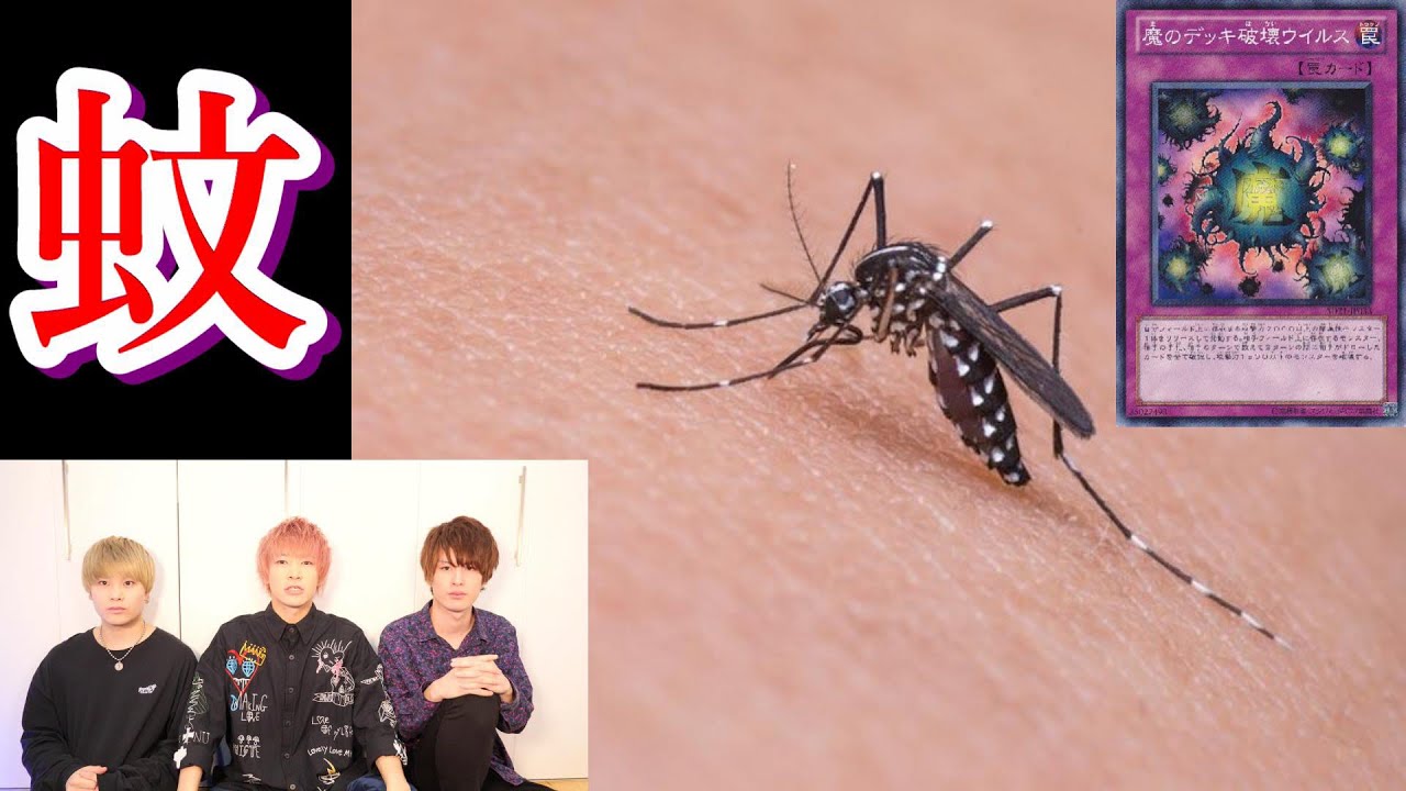 蚊を叩き潰すと発症する病気が怖すぎる【都市伝説】